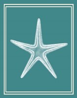 Mixed Nautical White on Teal a Fine Art Print