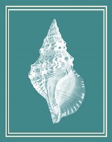 Mixed Nautical White on Teal c Fine Art Print