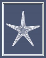 Mixed Nautical White on Indigo Blue a Fine Art Print