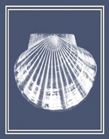 Mixed Nautical White on Indigo Blue b Fine Art Print