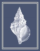 Mixed Nautical White on Indigo Blue c Fine Art Print