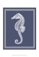 Mixed Nautical White on Indigo Blue d Fine Art Print