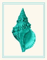 Mixed Nautical Turquoise on Cream a Fine Art Print