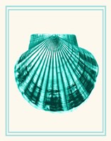 Mixed Nautical Turquoise on Cream d Fine Art Print