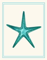 Mixed Nautical Turquoise on Cream f Fine Art Print