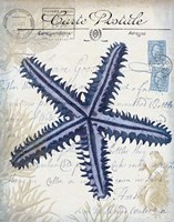 Seaside Postcard Cream a Fine Art Print