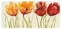 Row of Tulips I Framed Print