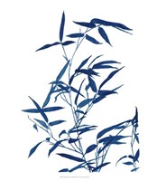 Indigo Botanica I Fine Art Print