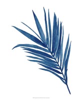 Indigo Botanica III Fine Art Print