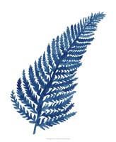 Indigo Botanica IV Fine Art Print