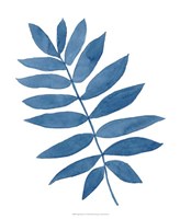Indigo Botanica V Fine Art Print