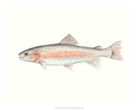 Watercolor Deep Sea Fish II Fine Art Print