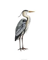 Sea Bird V Fine Art Print