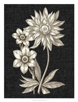 Dramatic Chintz I Fine Art Print