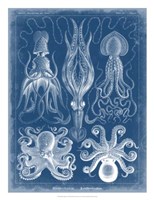 Marine Blueprint V Fine Art Print