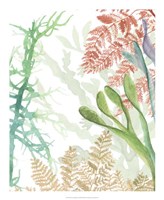 Woven Seaplants I Framed Print