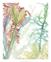 Woven Seaplants II Framed Print