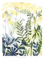 Layered Blooms II Framed Print