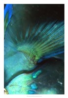 Finality - Australia Fine Art Print