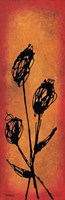 Poppies Will Make Them Sleep Fine Art Print