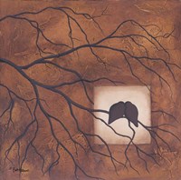 The Window to the Soul Fine Art Print