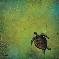 Slow and Steady Fine Art Print