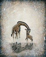 My Love for You - Giraffes Fine Art Print