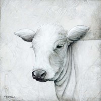 January Cow II Fine Art Print