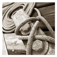 Knots and Bolts Fine Art Print