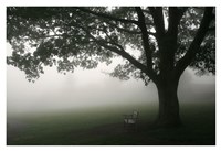 Misty Bench Fine Art Print