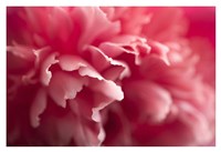 Nebula Fine Art Print