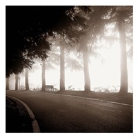 Roadside Bench Fine Art Print