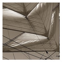 Sails Fine Art Print