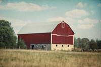 Blissful Country VI Crop Fine Art Print