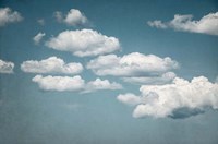 Calm Days III Fine Art Print