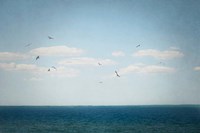 Calm Days IV Fine Art Print