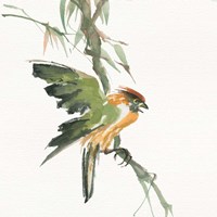 Formosan Firecrest Fine Art Print
