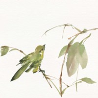 Sisken Fine Art Print