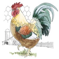 Fun at the Coop V Fine Art Print