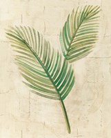 Sago Palm Leaves Neutral Crop Fine Art Print