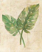 Monstera Leaves Neutral Crop Fine Art Print