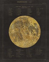 Astronomical Chart I Fine Art Print