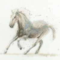 Stallion II Fine Art Print