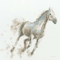 Stallion I Framed Print