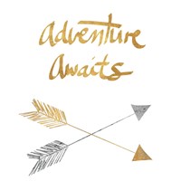 Adventure Arrows Fine Art Print