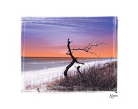 Dusk Fine Art Print