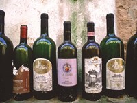 Fine Wine II Fine Art Print