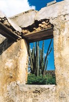 Cactus View Fine Art Print