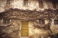 Villa Fine Art Print