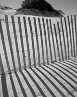 I.R. Fla Fence 2 Fine Art Print
